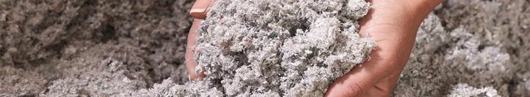 Ouate de cellulose